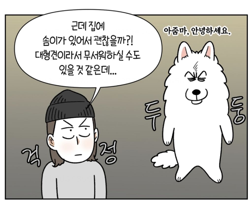 강아지 있다고 해서 일부러 이 집으로 일하러 온건데ㅜㅜ | 인스티즈