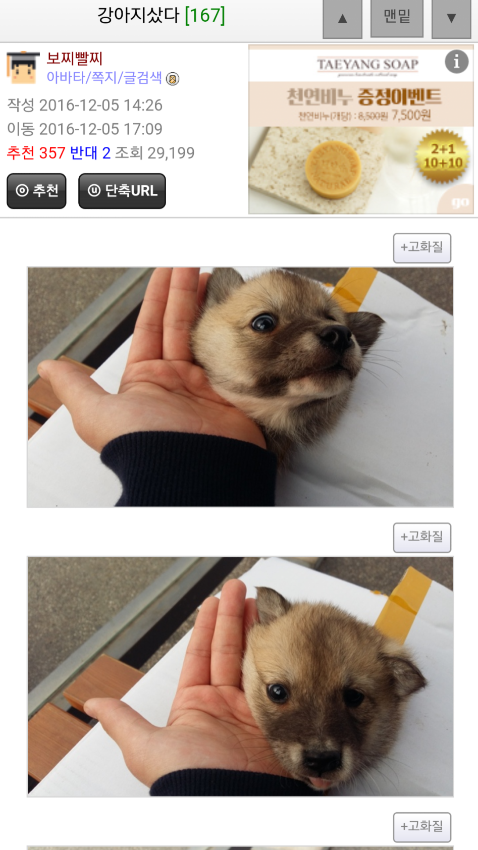 탈룰라 시리즈.jpg | 인스티즈