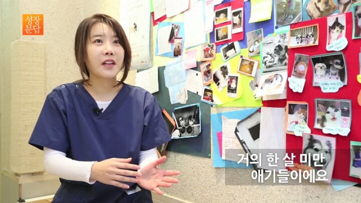 반려동물 키우기를 쉽게 생각하는 사람이 반드시 들어야 할 대답 | 인스티즈