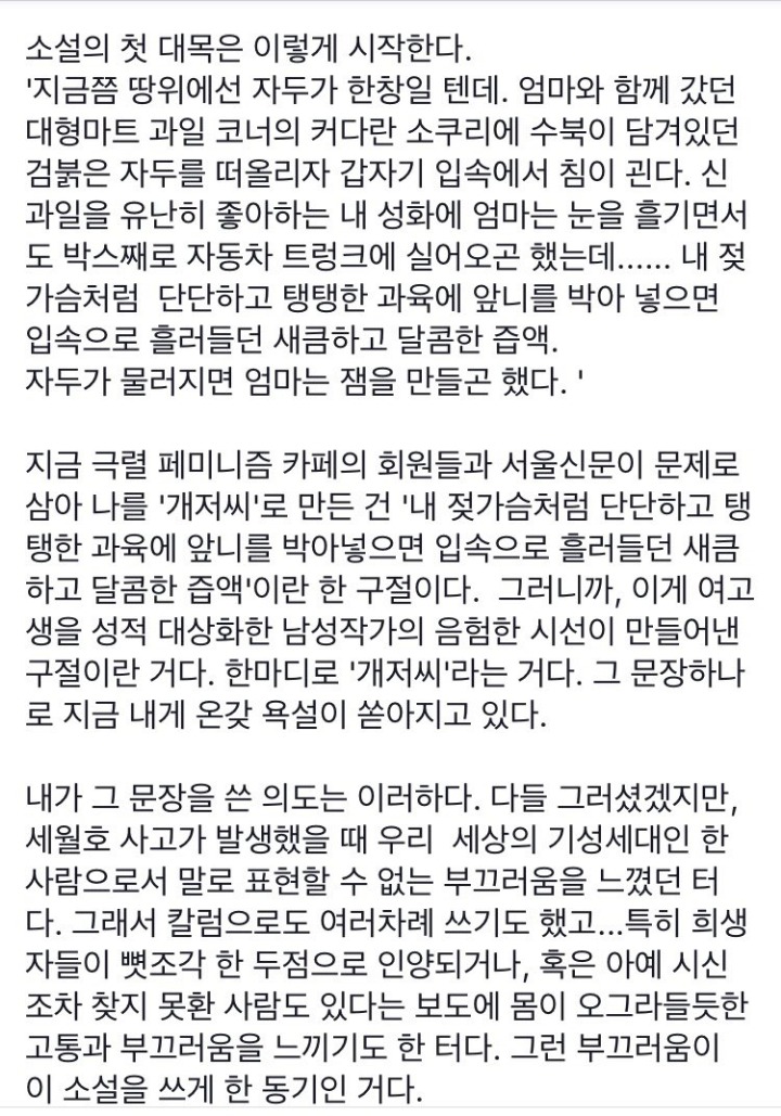 젖가슴 어쩌구 들어가는 소설 작가의 변명 | 인스티즈