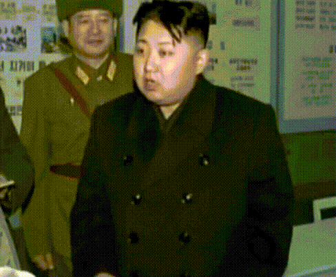 이만한 돼지가 있었는데 | 인스티즈