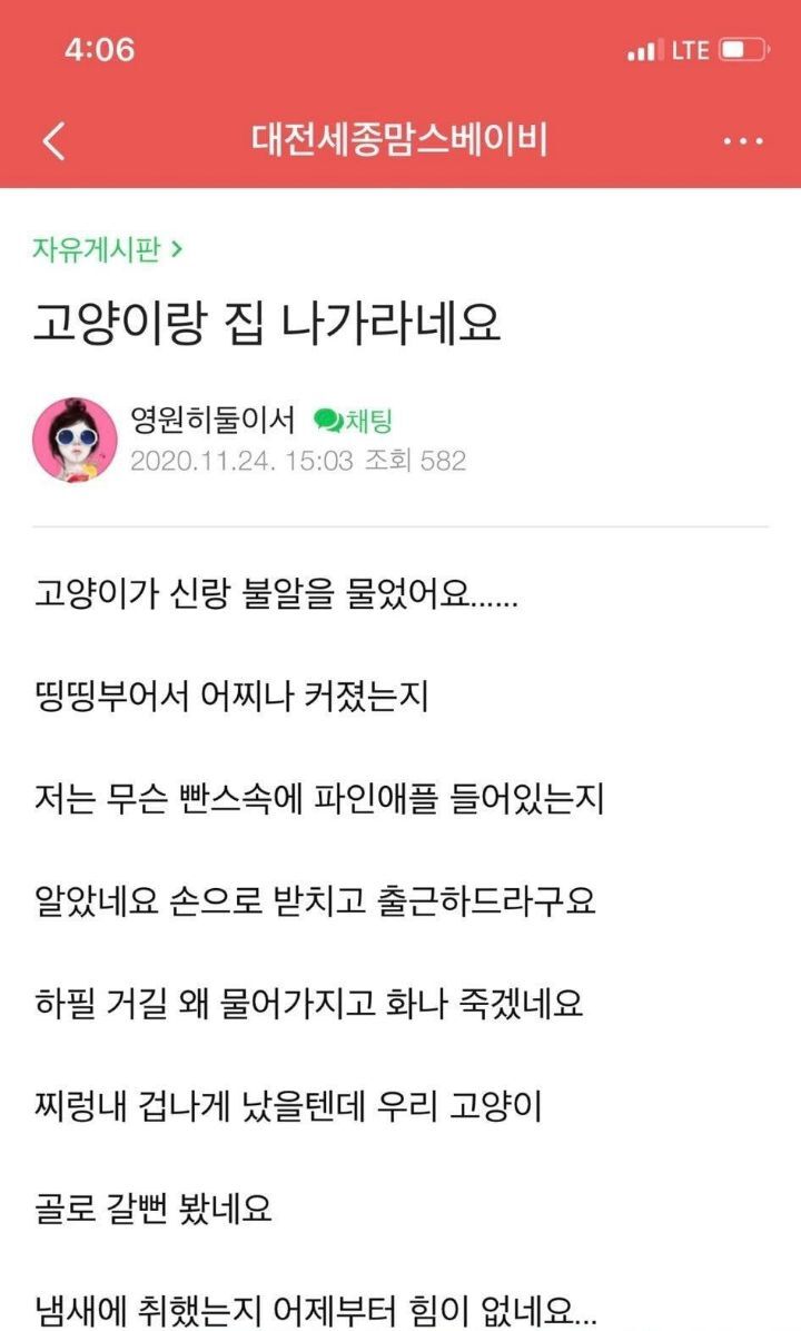 남편이 고양이랑 같이 집 나가라네요 | 인스티즈