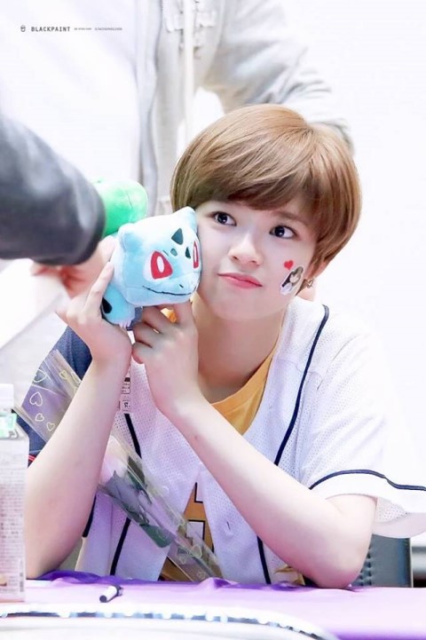 트와이스 정연 | 인스티즈