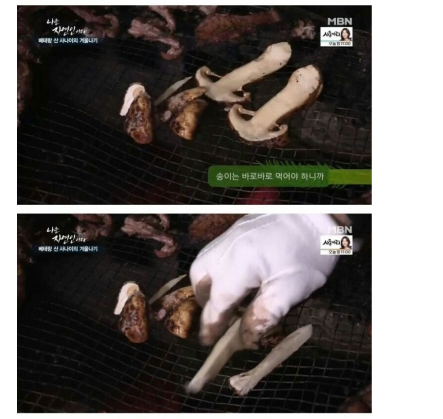 나는 자연인이다 역대급 음식 jpg | 인스티즈