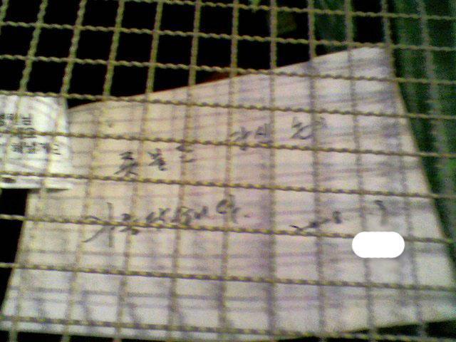 광주 경찰들이 시위대를 대하는 태도ㄷㄷ. jpg | 인스티즈