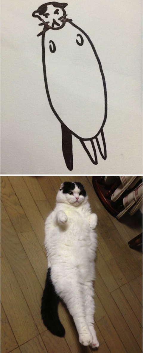 완벽한 고양이 묘사.jpg | 인스티즈