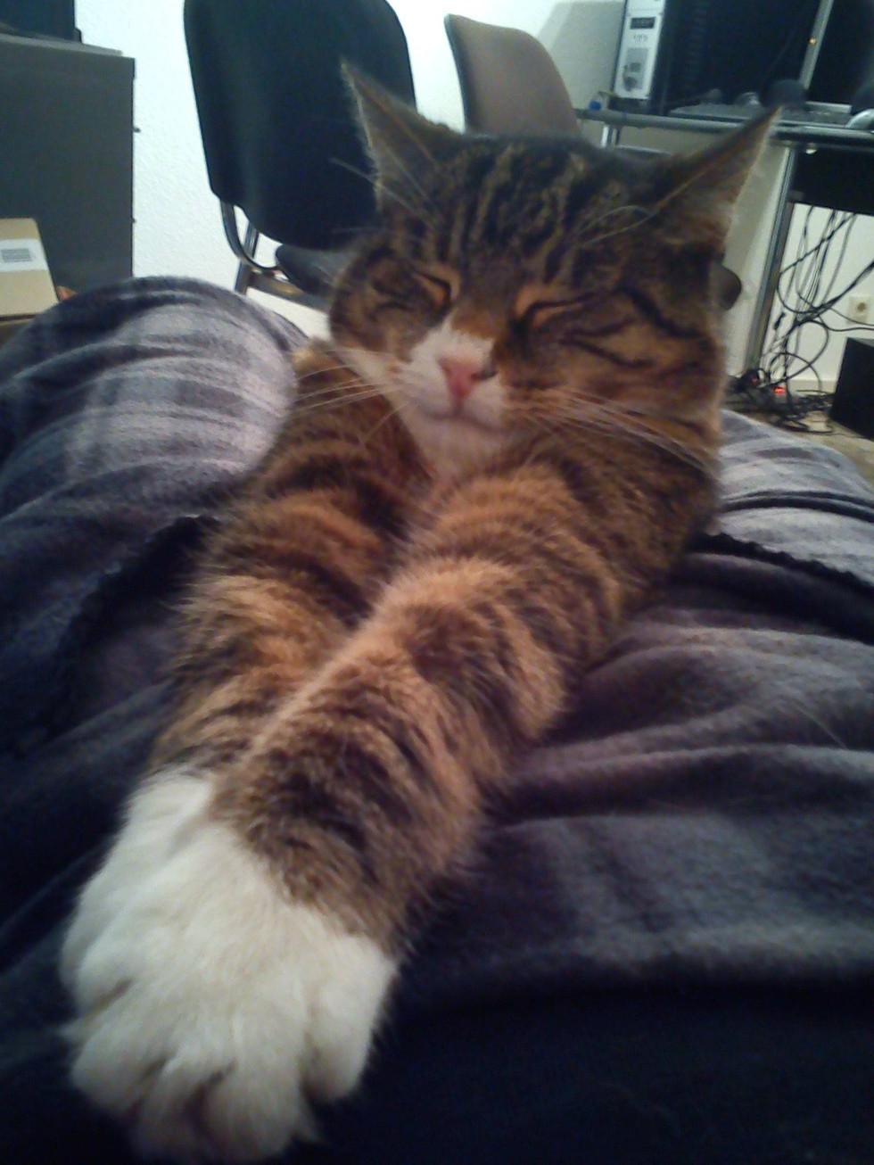 25살 청년의 21년지기 친구.jpg | 인스티즈