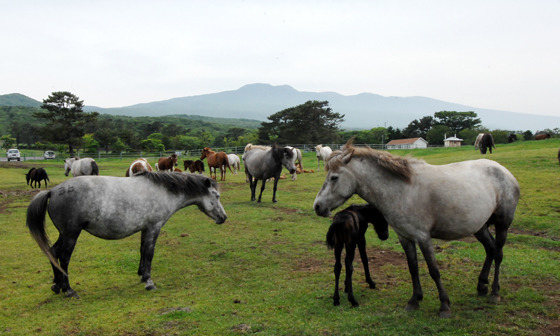 아무말 대잔치.JPGIF | 인스티즈