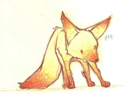 색연필로 고양이 여우 그림!!! | 인스티즈