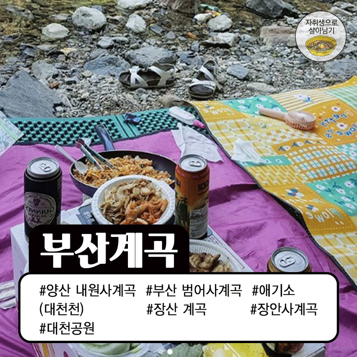 계곡의 계절이 왔다! 놀러가기 좋은 대한민국 계곡모음 | 인스티즈