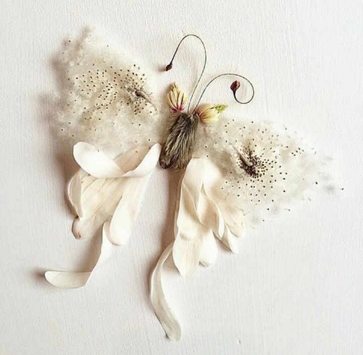 인스타에서 가져온 꽃과 잎으로 표현한 사물 사진 | 인스티즈
