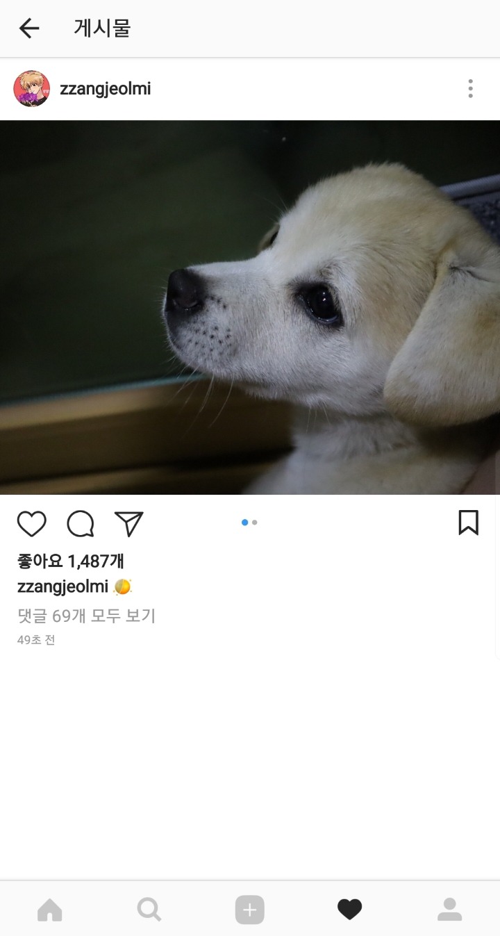 굿나잇 짱절미.jpg | 인스티즈