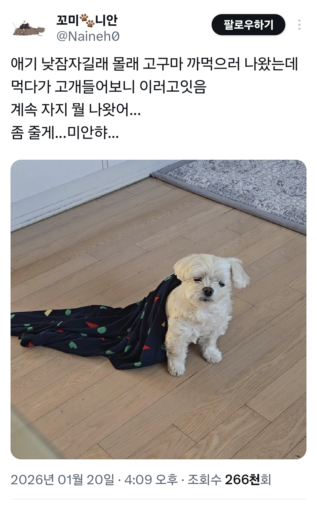 애기 낮잠자길래 몰래 고구마 까먹으러 나왔는데 | 인스티즈