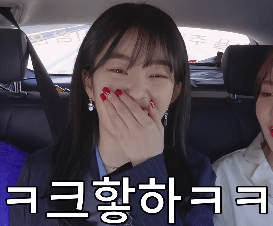 아이린의 기묘한 자동차 여행.gif | 인스티즈
