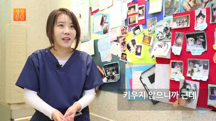 반려동물 키우기를 쉽게 생각하는 사람이 반드시 들어야 할 대답 | 인스티즈