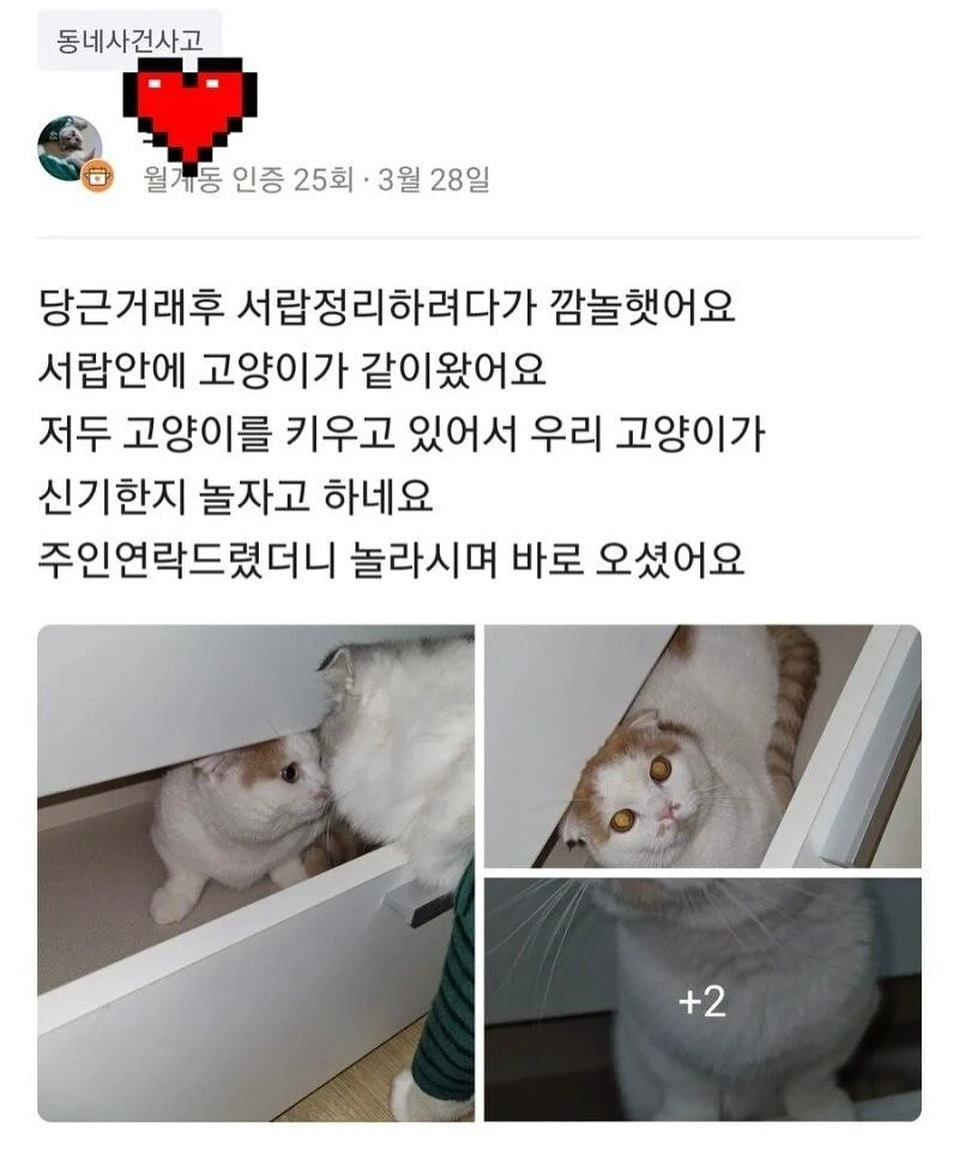 당근거래후 서랍정리하려다가 깜놀햇어요 | 인스티즈