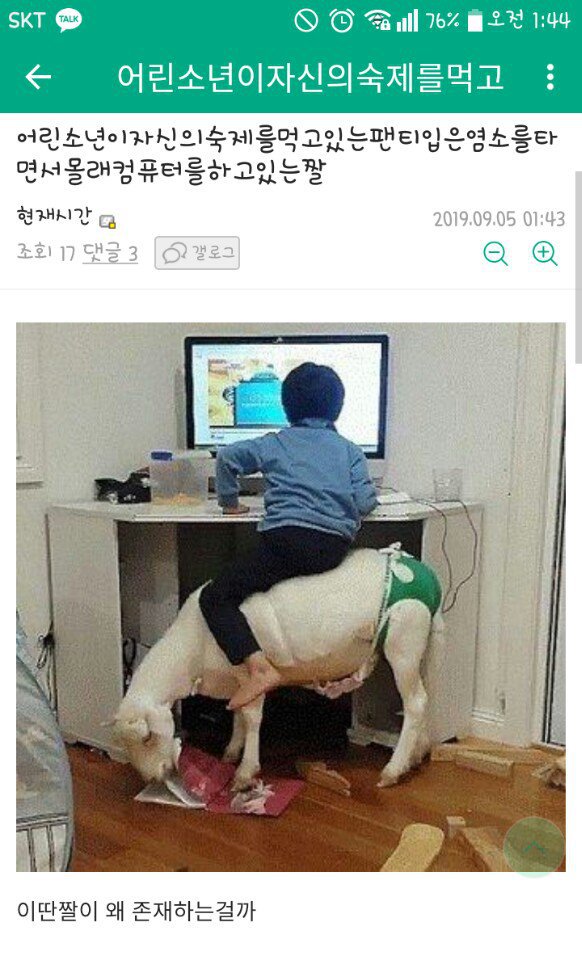 어린 소년이 자신의 숙제를 먹고있는 팬티입은 염소를 타고 컴퓨터를 하는 짤.jpg | 인스티즈