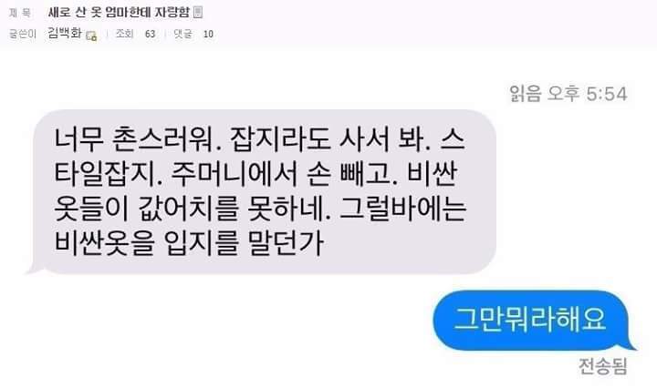 새로산 옷 엄마한테 자랑한 디씨인.jpg | 인스티즈