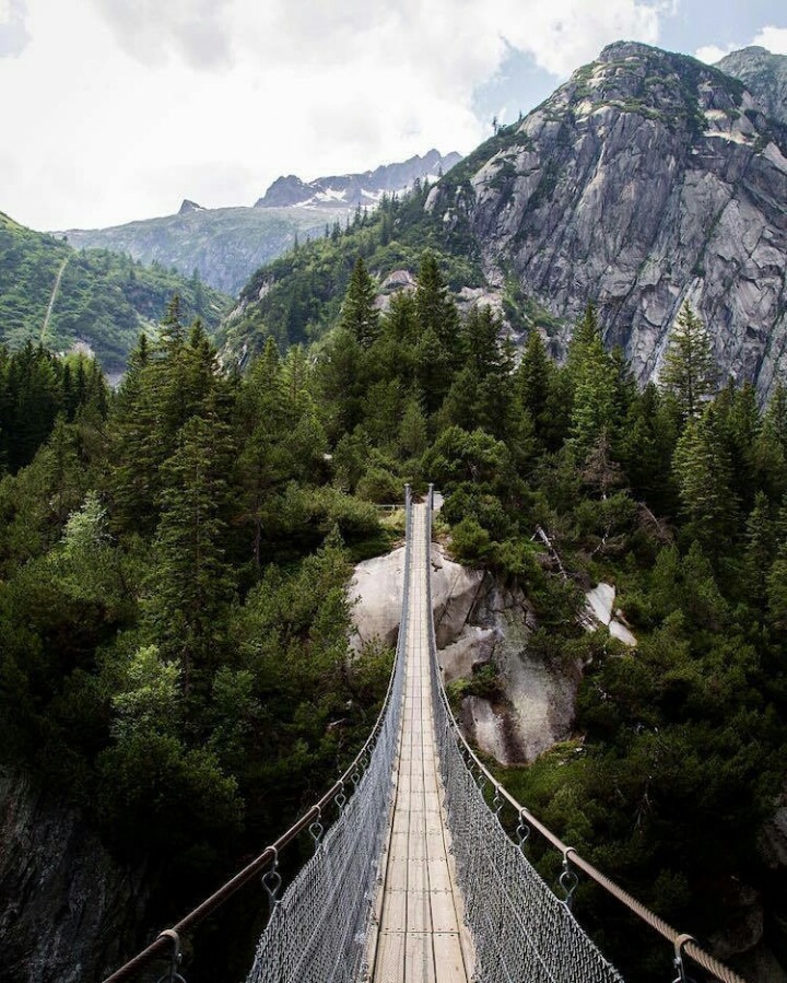 탐험가의 사진 | 인스티즈