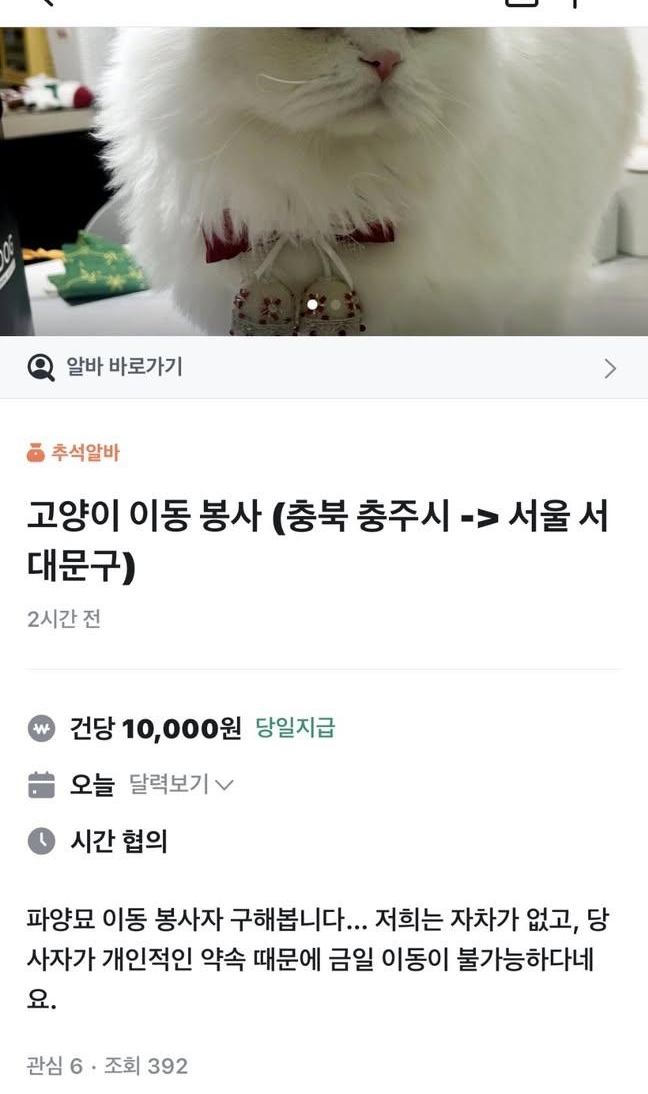 파양묘 이동 봉사자 구해봅니다 (당근 알바 건당 10000원) | 인스티즈