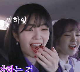 아이린의 기묘한 자동차 여행.gif | 인스티즈