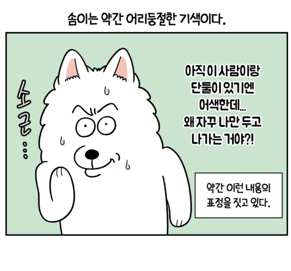 강아지 있다고 해서 일부러 이 집으로 일하러 온건데ㅜㅜ | 인스티즈