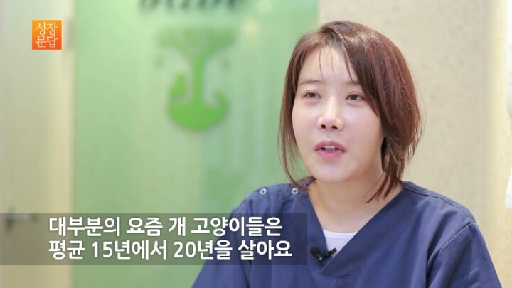 반려동물 키우기를 쉽게 생각하는 사람이 반드시 들어야 할 대답 | 인스티즈