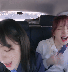 아이린의 기묘한 자동차 여행.gif | 인스티즈