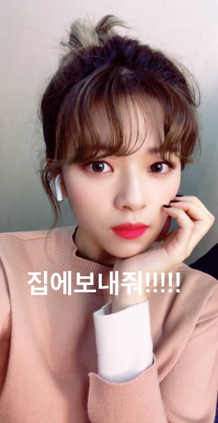 트와이스 정연 인스타그램 스토리 | 인스티즈