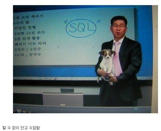 인강 촬영중에 개가 문 열어달라고 긁어서.jpg | 인스티즈