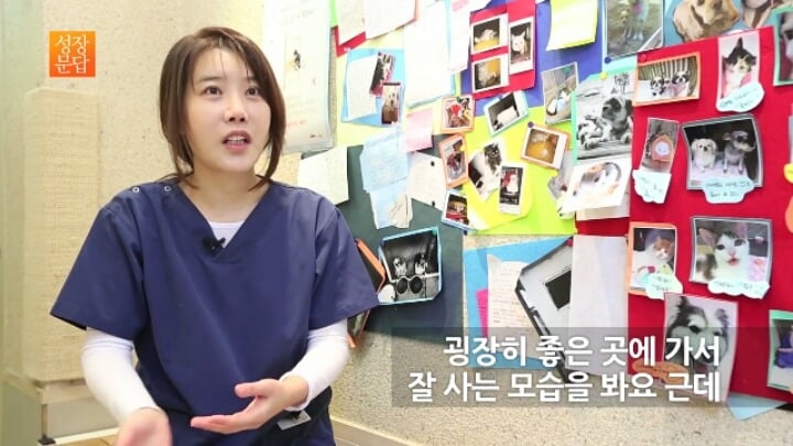 반려동물 키우기를 쉽게 생각하는 사람이 반드시 들어야 할 대답 | 인스티즈