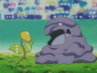 지우 파트너 포켓몬 중 인상에 남는 순위 (일본 조사) | 인스티즈