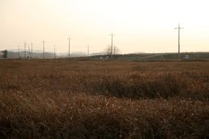 너는 자수하지 않으면 사지가 썩어 죽는다 | 인스티즈