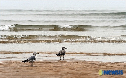 한국의 시민의식.jpg | 인스티즈