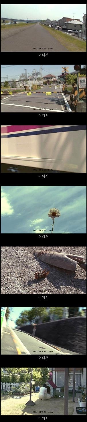 개의 일생 | 인스티즈