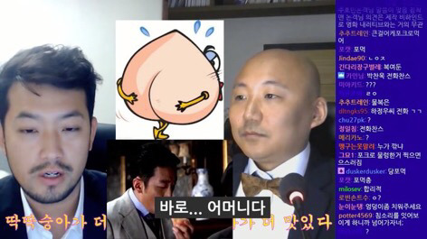 저세상 토론 복숭아 딱딱한거 vs 물렁한거 어느게 맛있나 | 인스티즈