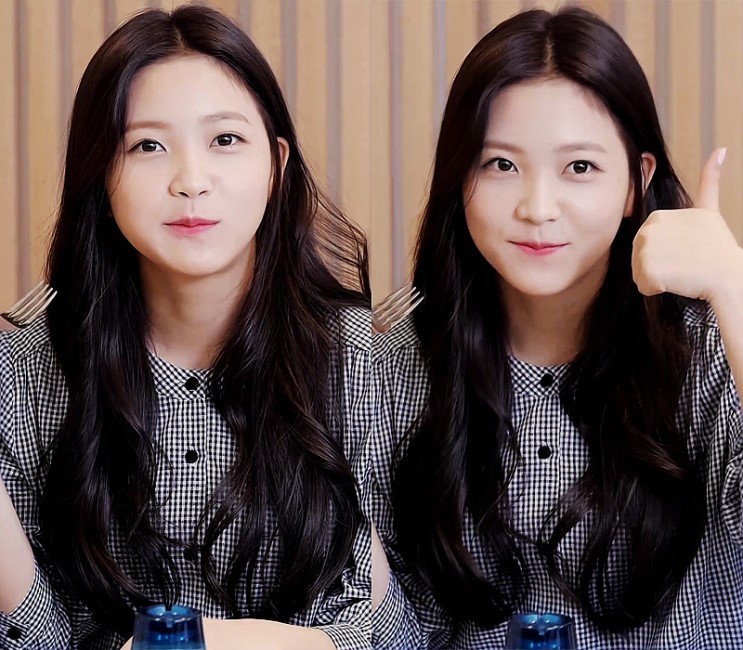 [레드벨벳] 예리 어딨니? 예부기 요즘 뭐하니? | 인스티즈