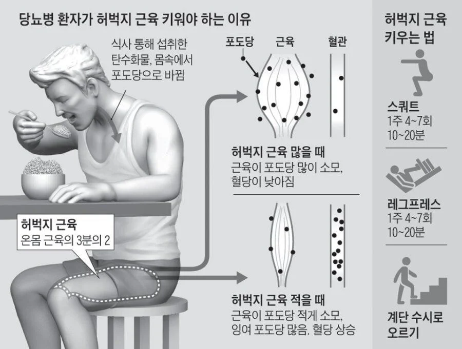 하체운동의 중요성.jpg | 인스티즈