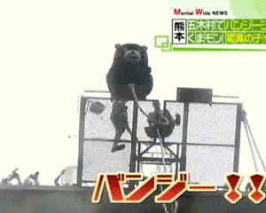 쿠마몬 떡방아 그이후.gif | 인스티즈