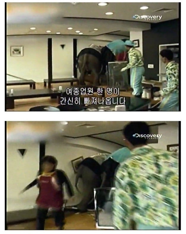 어린이대공원 코끼리 레전드 사건 jpg | 인스티즈