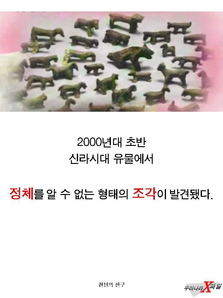 충격적인 개의 실체 ㄷㄷㄷㄷㄷ.JPG | 인스티즈