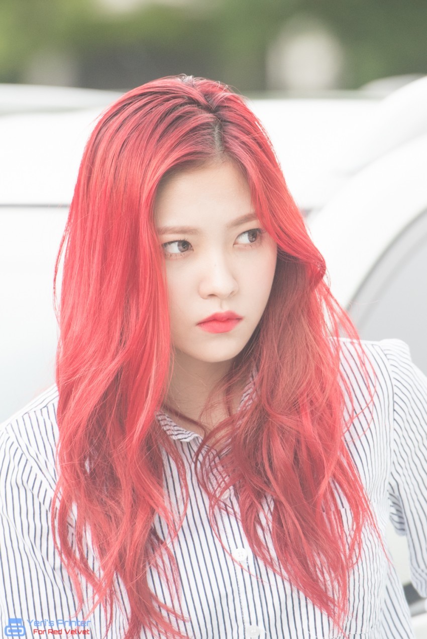 [레드벨벳] 예리 어딨니? 예부기 요즘 뭐하니? | 인스티즈