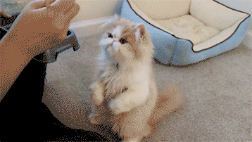 밥먹자 . gif | 인스티즈