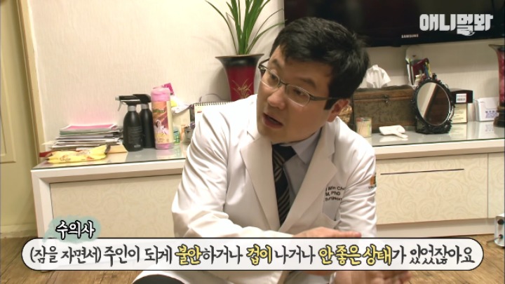 졸릴 때 건들면 열받는 강아지 | 인스티즈