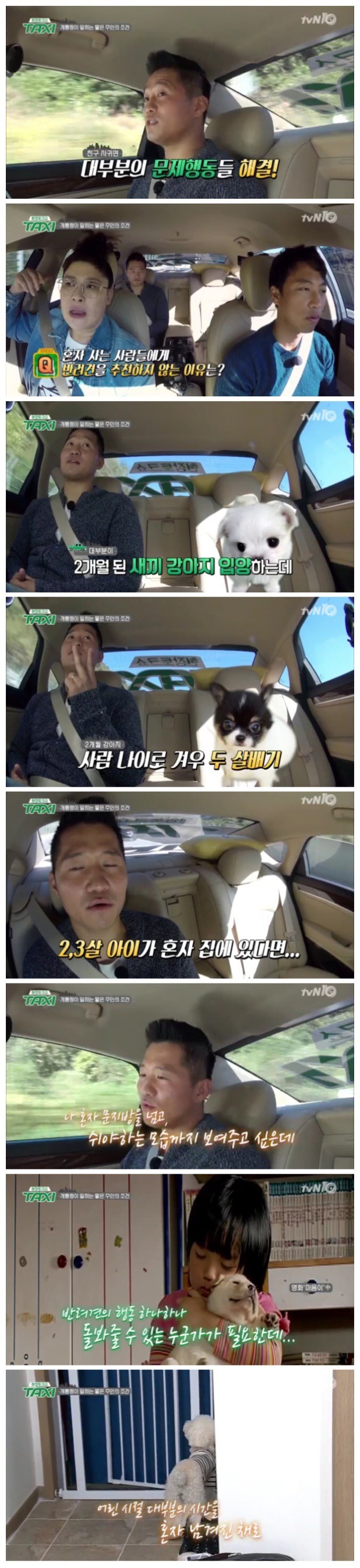 반려견을 키우면 안되는 사람들 | 인스티즈