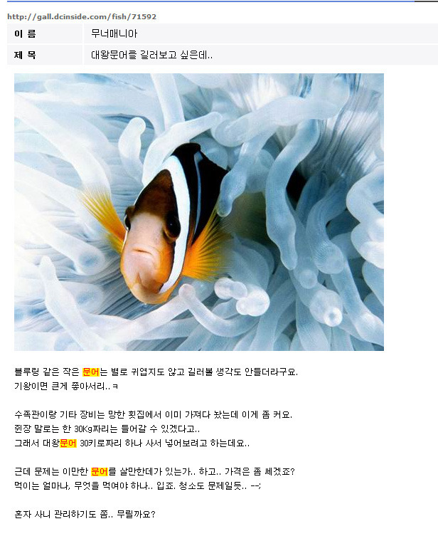 문어가 죽엇슴다.. ; | 인스티즈