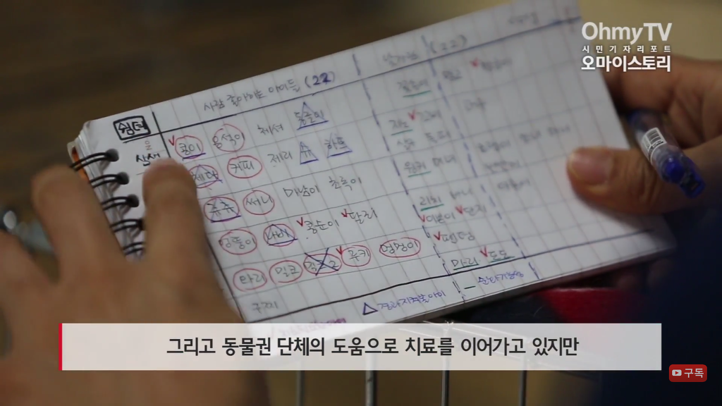 마산 애니멀 호더에게서 구조한 50여마리의 고양이들에게 손길을 내밀어주세요! 곧 쉼터가 폐쇄되어 아이들이 갈 곳이 없습니다 | 인스티즈