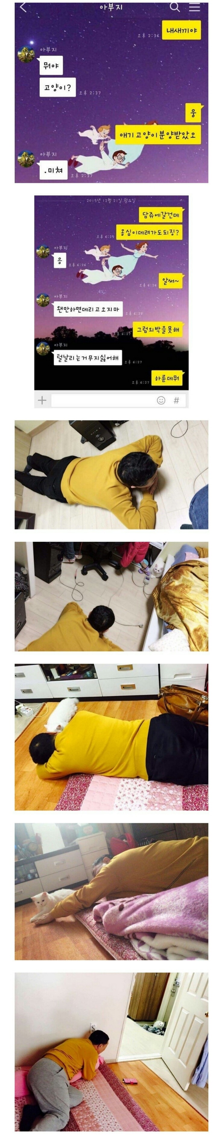 아버지는 고양이가 싫다고 하셨어.jpg | 인스티즈