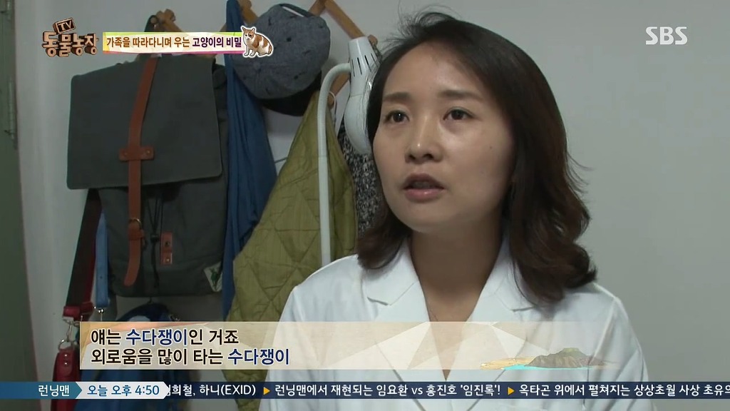 [동물농장] 존트 할말 다 하고 사는 수다쟁이 고양이 쪼롱이ㅋㅋㅋㅋ.jpg | 인스티즈