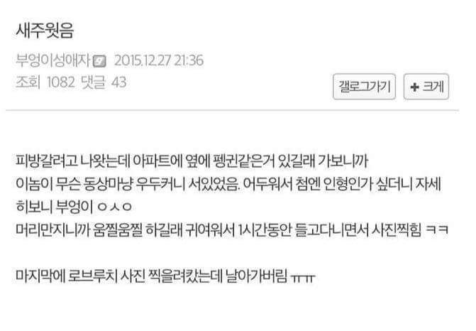 새주의)디시 새줍갤 레전드.jpg | 인스티즈